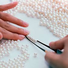 Image result for 2011早春