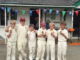 Image result for Ballinger Waggoners Cricket Club