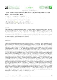 Attēlu rezultāti vaicājumam “Enteridium liceoides”