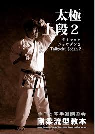 Image result for Jodan Karate