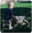 Artificial Turf and Synthetic Field Grass - AstroTurf, LLC.