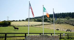 Image result for The Riding Centre