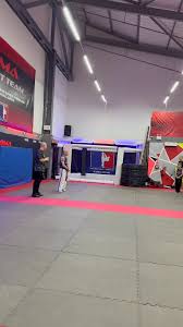 Image result for Martial Art Centre of Excellence
