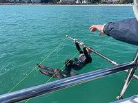 Image result for Jersey Sea Sport Centre - St Aubin, Jersey