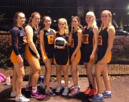 Image result for Hornets Netball Club