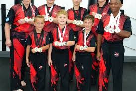 Image result for Chinese Kick Boxing Club