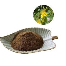 Attēlu rezultāti vaicājumam “Hypericum perforatum fruit”