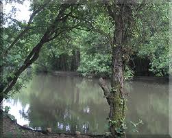 Image result for Leatherhead & District Angling Society