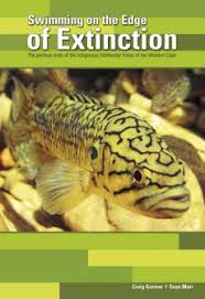 Image result for Petrus rupestris