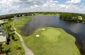 Image result for Fox Gc