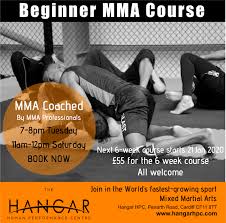 Image result for Cardiff Mma