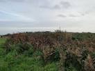 Impossible to enter. For another view > TM5180 : Pillbox at Benacre from the - via Daymix