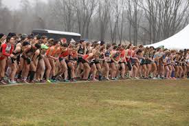 Image result for Alchester Running Club