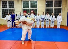 Image result for Halewood Inclusive Judo Club