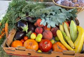 Afbeeldingsresultaat voor cabin tomato