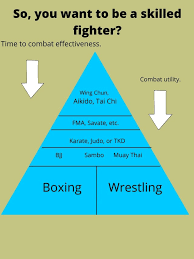 Image result for Pyramid martial arts