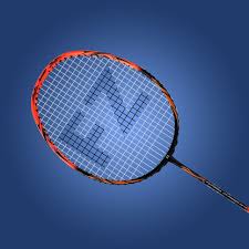 Image result for The Highly Strung Badminton Club