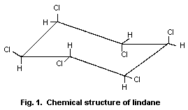 Attēlu rezultāti vaicājumam “Cinclidotus danubicus cells”