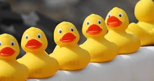 Image result for Bradford & Bingley Canoe Club