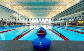 Image result for Derventio Excel Swimming Club