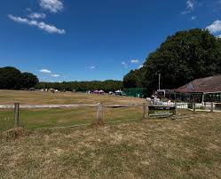 Image result for Henfield Cricket Club