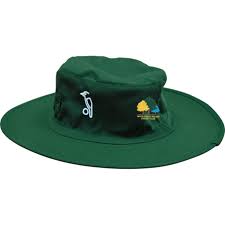 Image result for Wood Street Village Cricket Club