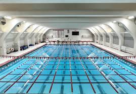 Image result for Worcester Swimming Club