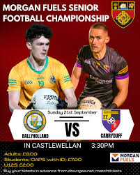 Image result for An Riocht Gaa Club