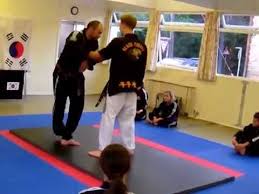 Image result for Sudbury Hapkido Club