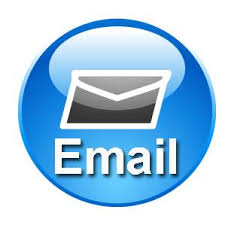 Contact New Forest Activities