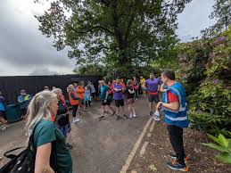 Image result for Wee County Harriers