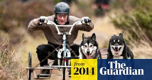 Image result for Team Ice Fire British Sled Dog Racing Team