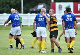 Image result for Harpenden Rugby Football Club