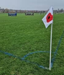 Image result for Hamilton Panthers Association Football Club