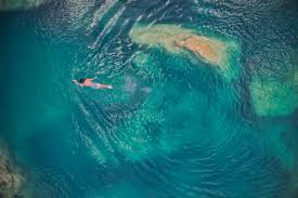 Image result for Cascada