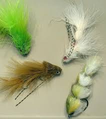 Image result for Segdoune Flyfishers` Angling Club