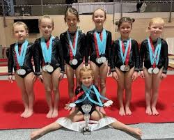 Image result for Stockport School Of Gymnastics