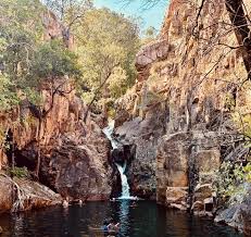 Billedresultat for kakadu n...