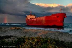 Image result for Pasha bulker
