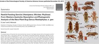 Attēlu rezultāti vaicājumam “Miridae”