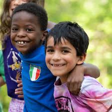 Image result for Hale Barns Dojo