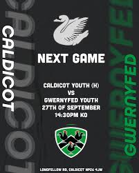 Image result for Caldicot Junior  & Mini Rugby Club