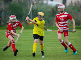 Image result for Lochcarron Camanachd