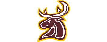 Image result for Southampton Stags