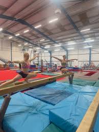 Image result for Swallows Trampoline Club