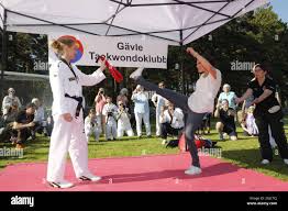 Image result for Crown Tae Kwon Do