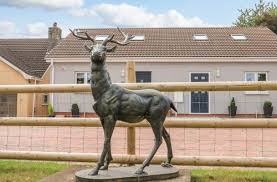 Image result for Dawlish Sc