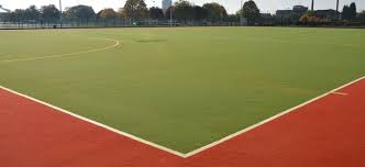Image result for Burton Hockey Club