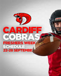 Image result for Cardiff Cobras
