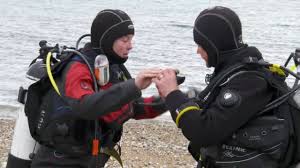 Image result for TAL Divers